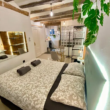 Apartment La Curiosa Del Casc Antic *