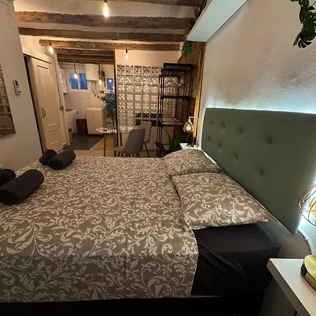 La Curiosa Del Casc Antic Apartamento *