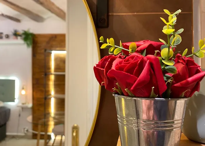 La Curiosa Del Casc Antic *
